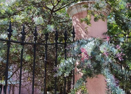 Por los pagos de Areco