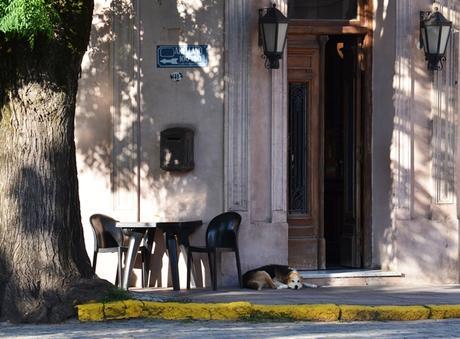 Por los pagos de Areco
