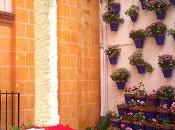 Cruces Mayo