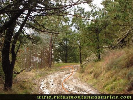 Desvío de la pista a la izquierda