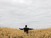 Sigue camino flores amarillas