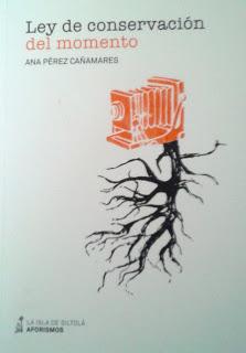 Ana Pérez Cañamares: Ley de Conservación del momento (1):