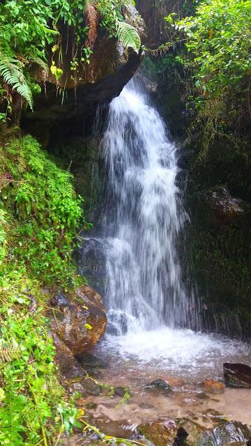 SAN BUENAVENTURA: EL PARAÍSO ESCONDIDO