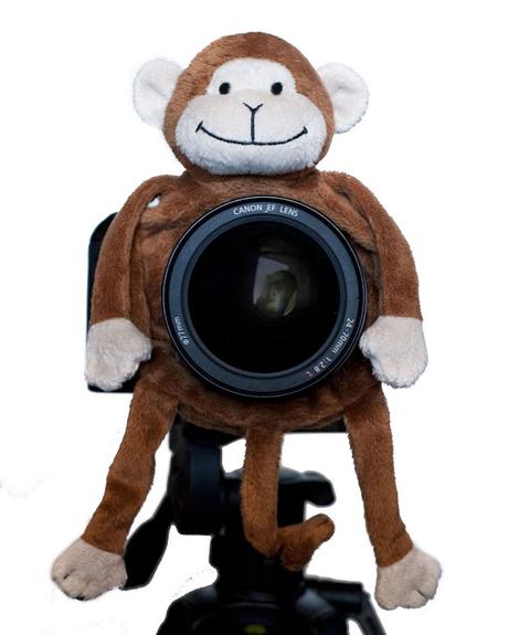 accesorio_para_camara_fotografica_para photoshoot_publivitario_de_niños_mono