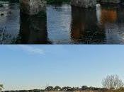 Puentes medievales Notario Arenosas, cercanías Alburquerque