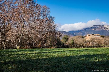 Y el viento se empeñaba en desnudar a los árboles