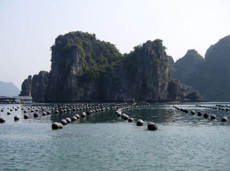 vietnam-20-21-bahia-de-halong-50