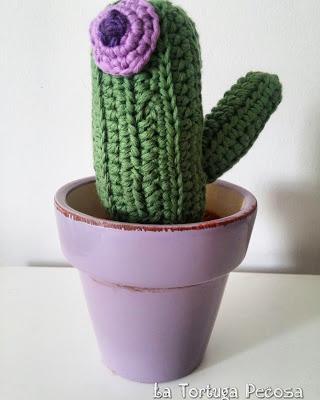 CACTUS MOTHER´S DAY