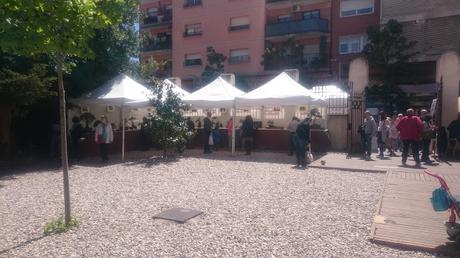 Amics del bonsai de Cerdanyola del Vallès EXPOSICIÓ DEL 25è aniversari