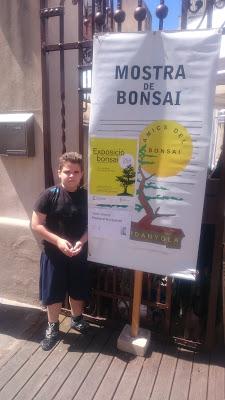 Amics del bonsai de Cerdanyola del Vallès EXPOSICIÓ DEL 25è aniversari
