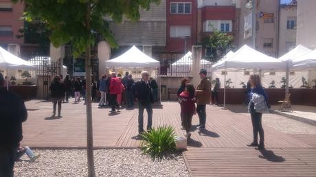 Amics del bonsai de Cerdanyola del Vallès EXPOSICIÓ DEL 25è aniversari