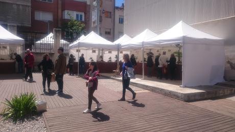 Amics del bonsai de Cerdanyola del Vallès EXPOSICIÓ DEL 25è aniversari