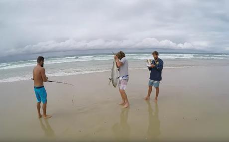 Una ingeniosa manera de pescar, el protagonista: un drone pesca-drones