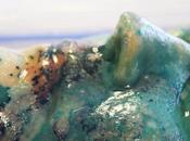 Artista crea esculturas bacterias crecen cara