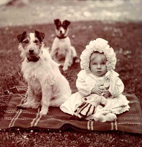 Libbyhallcoleccionperros 4