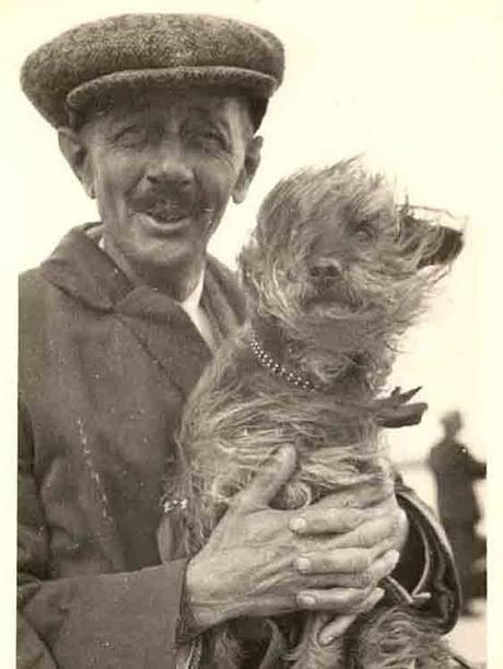 Libbyhallcoleccionperros 14