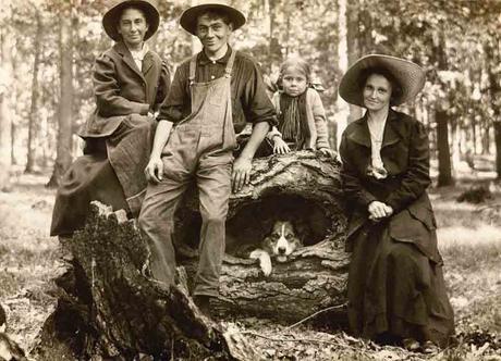 Libbyhallcoleccionperros 1