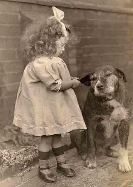 Libbyhallcoleccionperros 8