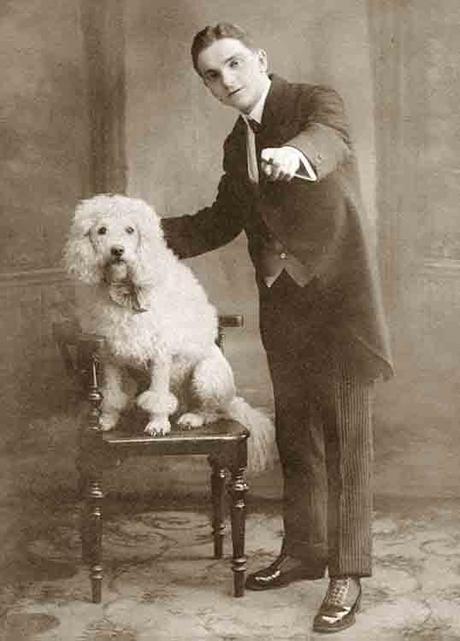 Libbyhallcoleccionperros 11