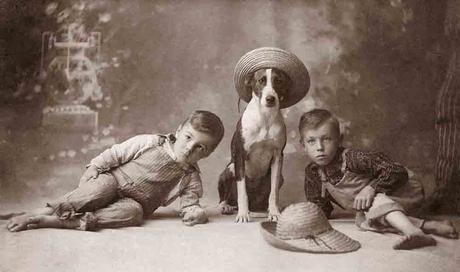 Libbyhallcoleccionperros 2