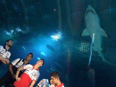 726115407690616832_small