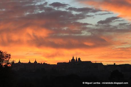 Paz de Toledo