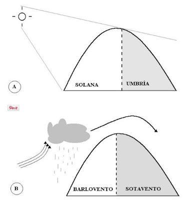 FACTORES FÍSICOS QUE DETERMINAN LOS PAISAJES VEGETALES ESPAÑOLAS FACTORES FÍSICOS QUE DETERMINAN LOS PAISAJES VEGETALES ESPAÑOLAS