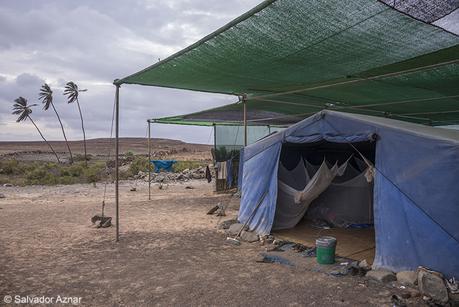 Campamentos para la protección de tortugas