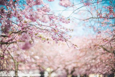 INSPIRATIONAL MONDAY #28