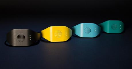 Temptations inventa un collar que traduce los maullidos de los gatos en palabras humanas