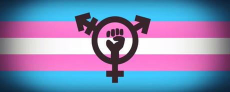 bandera trans puño.jpg