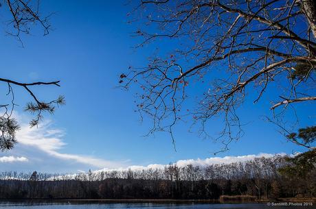 Cielo azul de invierno