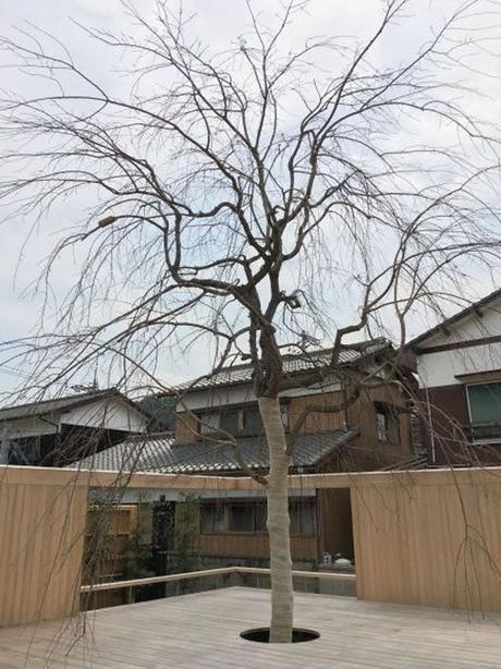 NAOSHIMA HALL DE HIROSHI SAMBUICHI EN JAPÓN