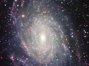 6744 similar Láctea