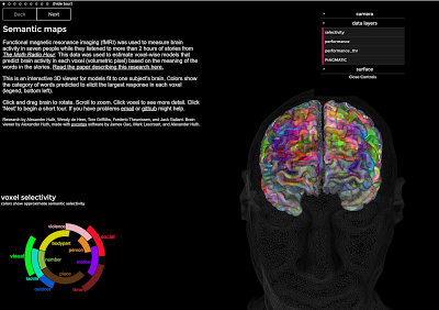 The brain dictionary. Cómo responde el cerebro a las palabras