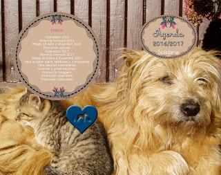 Recordando sorteo Agenda (nacional/internacional) Recordando sorteo Agenda (nacional/internacional)