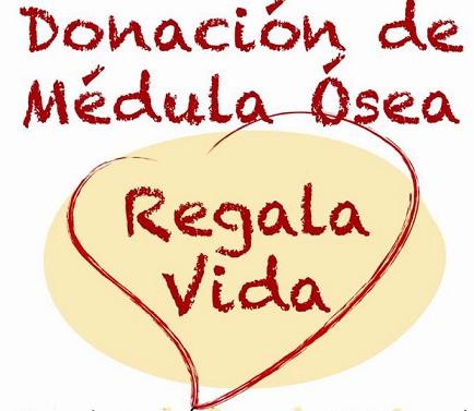 ¿En qué consiste la donación de médula ósea?La donación d...