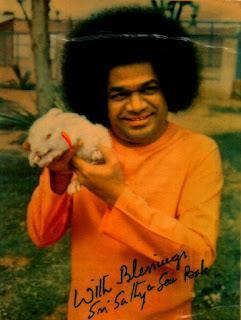 FW: MATANZA DE ANIMALES y EGOISMO, ODIO, CONFLICTOS Y CAOS