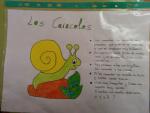 Aprendemos muchas cosas de caracoles