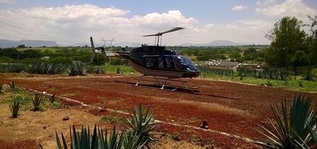 Casa Sauza Presenta: