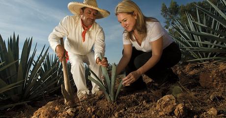 Casa Sauza Presenta: