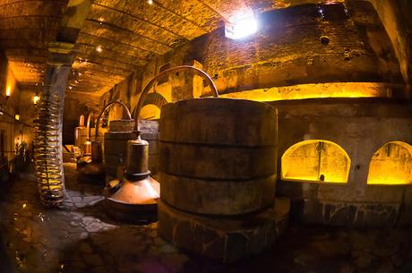 Casa Sauza Presenta: