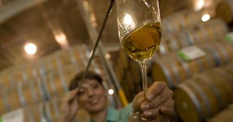 Casa Sauza Presenta: