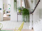 Fresca relajante, clásica actual.