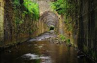 La fábrica de las sombras - Ibon Martín