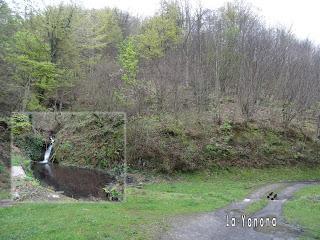 Por los mayaos de Vatchosera