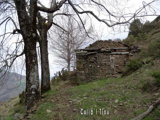 Por los mayaos de Vatchosera