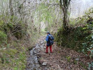 Por los mayaos de Vatchosera