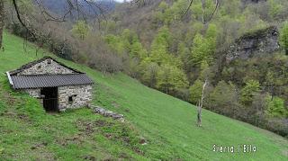 Por los mayaos de Vatchosera