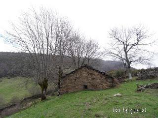 Por los mayaos de Vatchosera